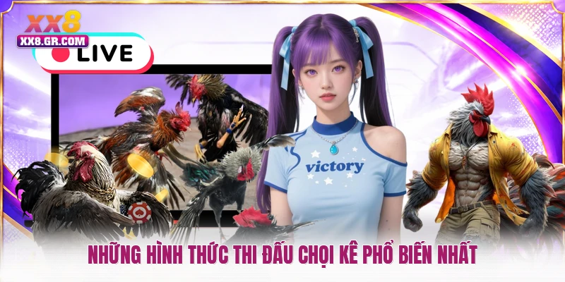 Những hình thức thi đấu chọi kê phổ biến nhất