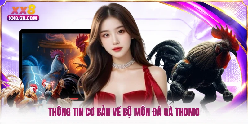 Thông tin cơ bản về bộ môn đá gà Thomo