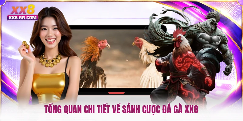 Tổng quan chi tiết về sảnh cược đá gà XX8
